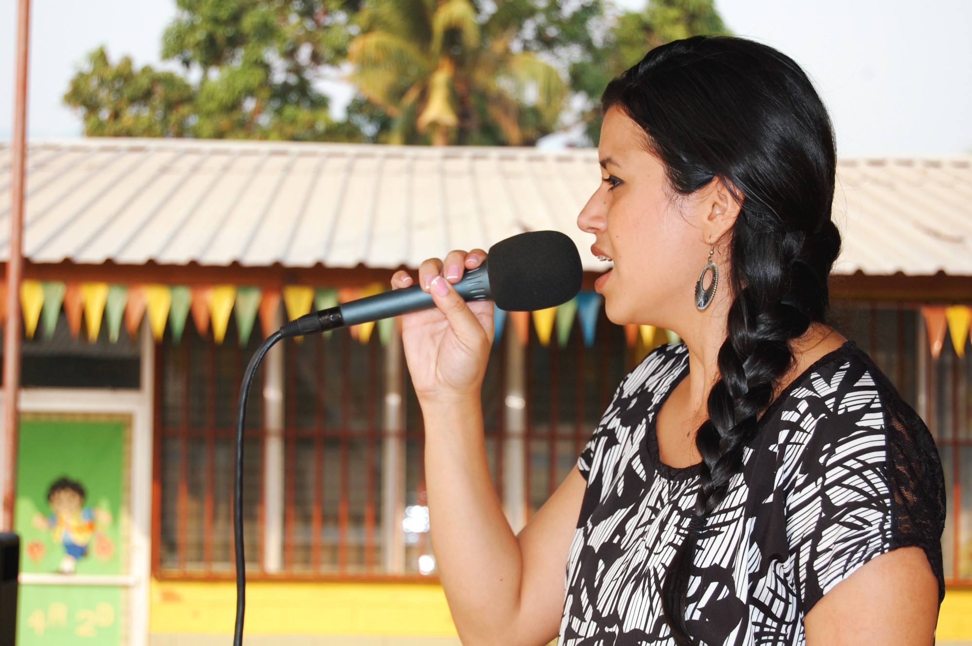 2013 - CEB Minerva (Jornada Matutina)